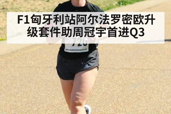F1匈牙利站阿尔法罗密欧升级套件助周冠宇首进Q3