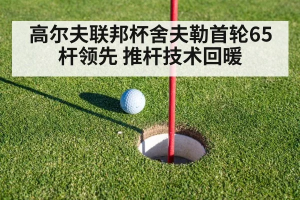 高尔夫联邦杯舍夫勒首轮65杆领先 推杆技术回暖
